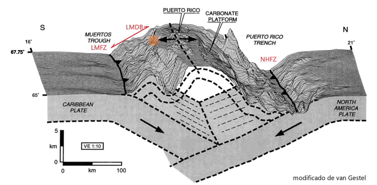 Seccion NS PR van Gestel 1998 modificado 1